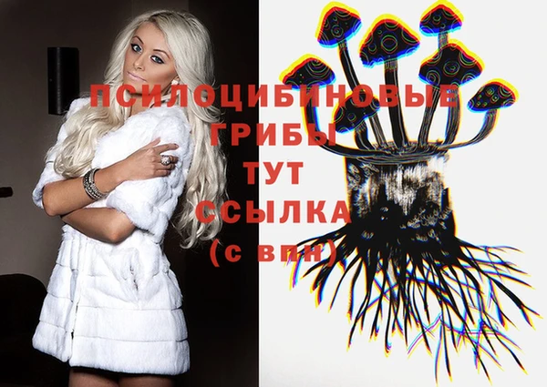 тгк Беломорск