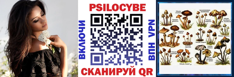 Галлюциногенные грибы мухоморы  где купить наркотик  Курчалой 